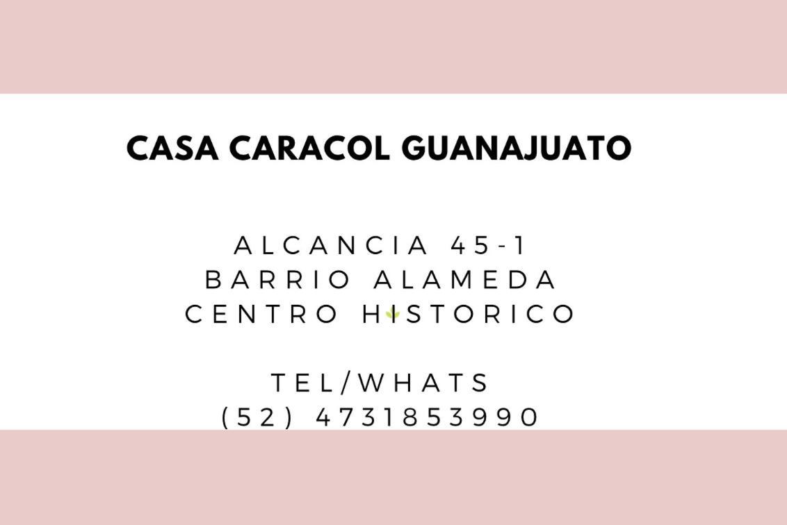 Casa Caracol Guanajuato Aparthotel Kültér fotó