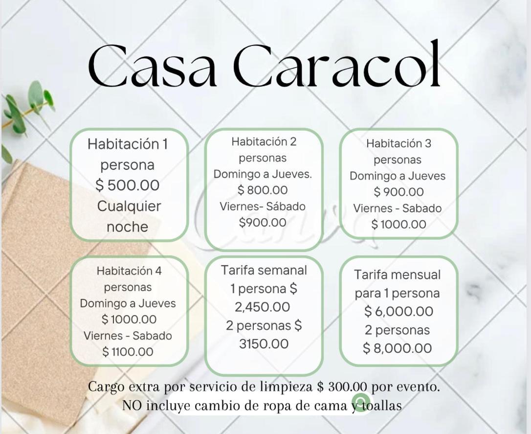 Casa Caracol Guanajuato Aparthotel Kültér fotó
